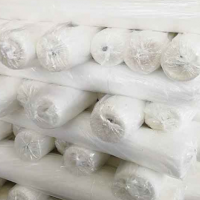 南山区防虫网 白色塑料尼龙窗纱1.5米宽