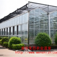 加工定制玻璃温室 文洛式玻璃温室大棚 农业花卉养殖温室