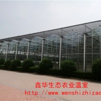 厂家直销玻璃温室 专业安装设计智能温室 景观玻璃温室大棚