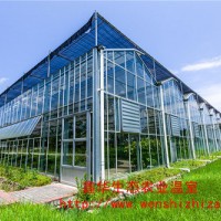 青州鑫华温室厂家 供应玻璃温室 日光玻璃温室连体大棚建设