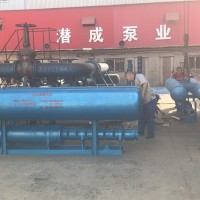 宁夏大功率卧式水泵-315kw卧式潜水泵生产厂家