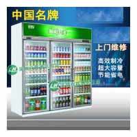 上海东宝冰柜展示柜维修,专业的维修技师