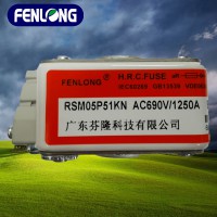 RSM05P51KN快速熔断器-FENLONG芬隆品牌
