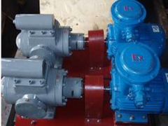 3G螺杆泵结构形式一般采用机械密封通过爪型联轴器由电动机驱动