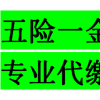 新成立公司怎么买员工社保，企业员工社保代理