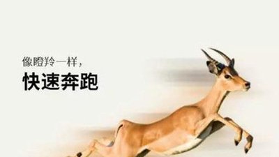 潍坊市企业申报瞪羚企业认证的好处