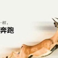 潍坊市企业申报瞪羚企业认证的好处