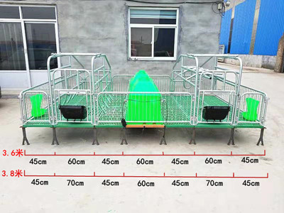 双体母猪产床 育保一体母猪产床生产厂家