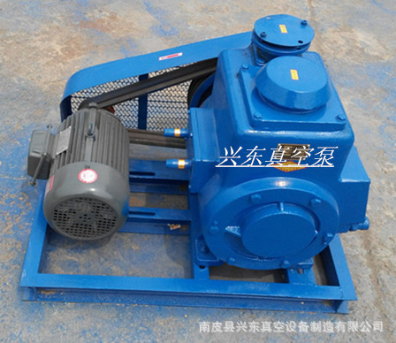 河北沧州真空泵 2X-15旋片式真空泵 真空抽气泡旋片泵