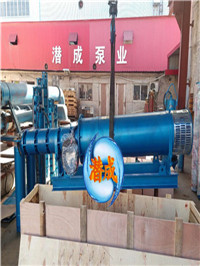 天津可以卧式使用深井潜水泵- 卧式安装深井潜水泵厂家