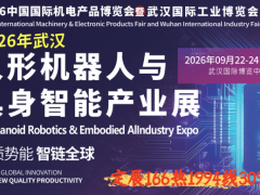 2026武汉人形机器人与具身智能产业展