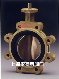 美国Bray博雷阀门S31U系列衬胶蝶阀规格齐全速发货